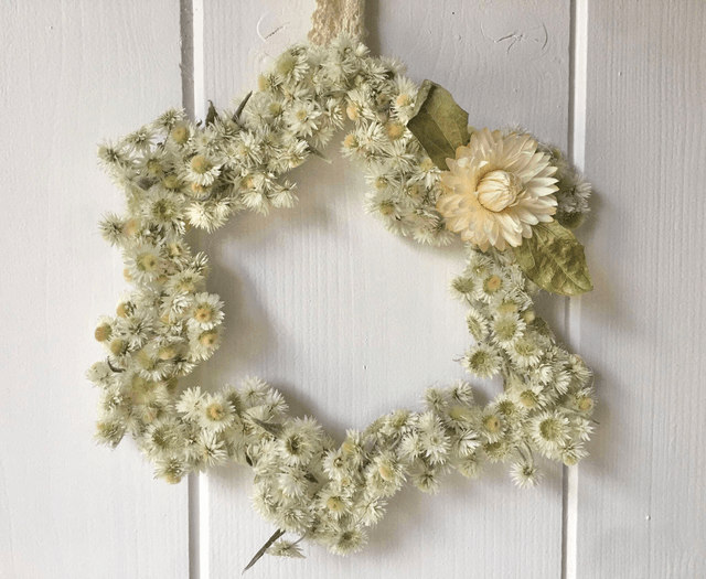 Couronne de fleurs séchées naturelles en "Etoile de Noël" 15 CM Blanc et Vert