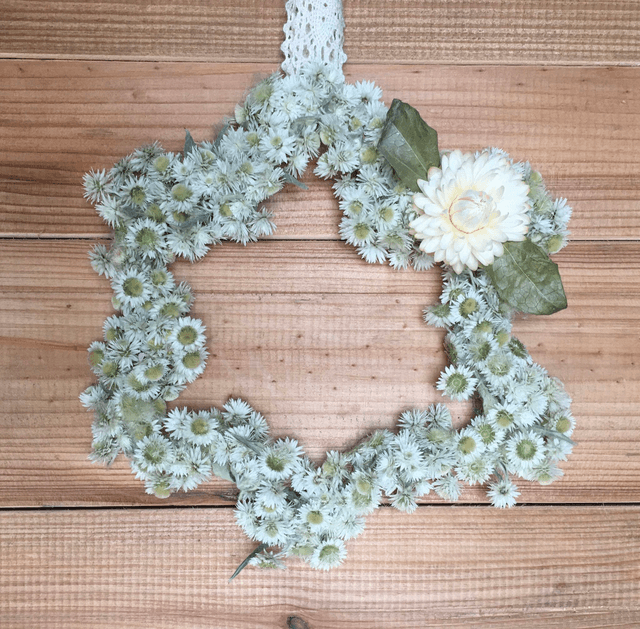 Couronne de fleurs séchées naturelles en &quot;Etoile de Noël&quot; 15 CM Blanc et Vert
